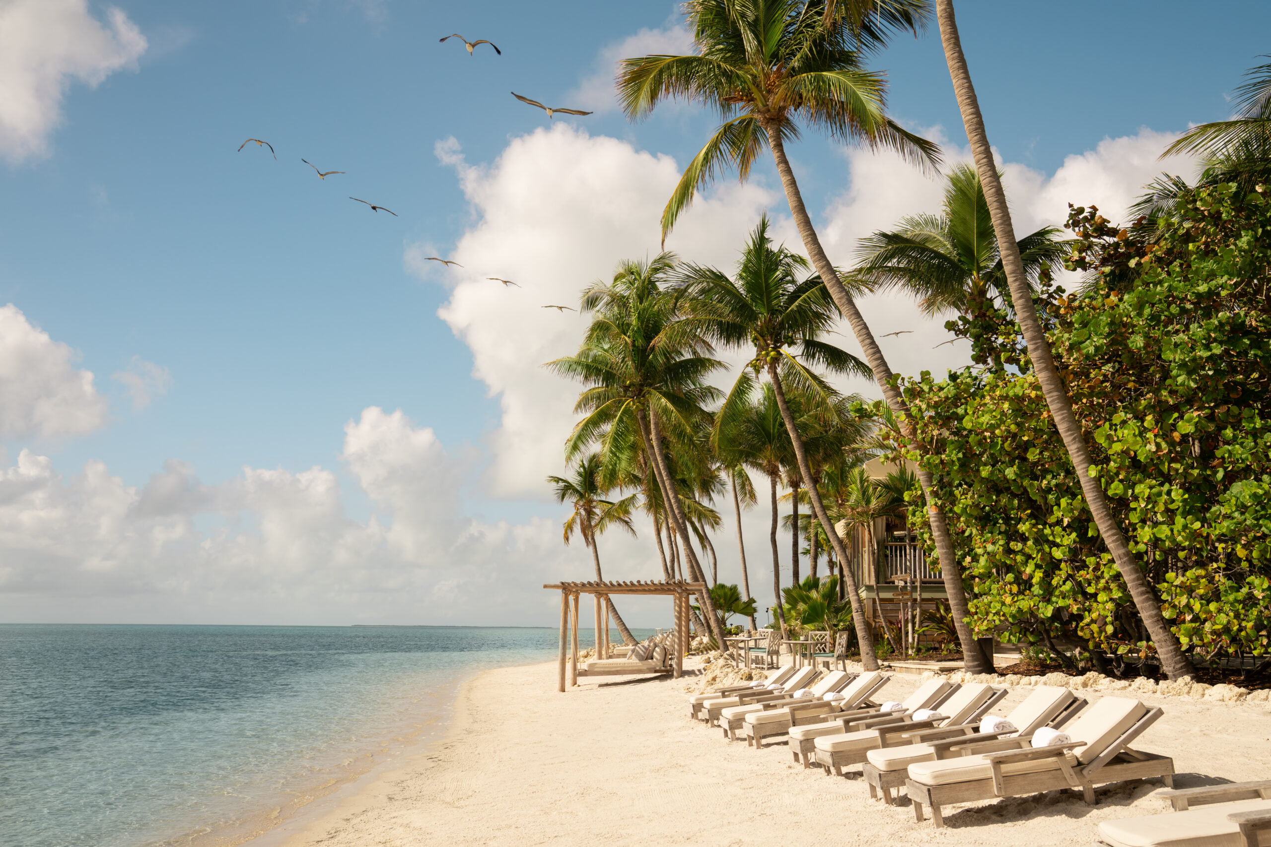 beach at Little Palm Island, Florida