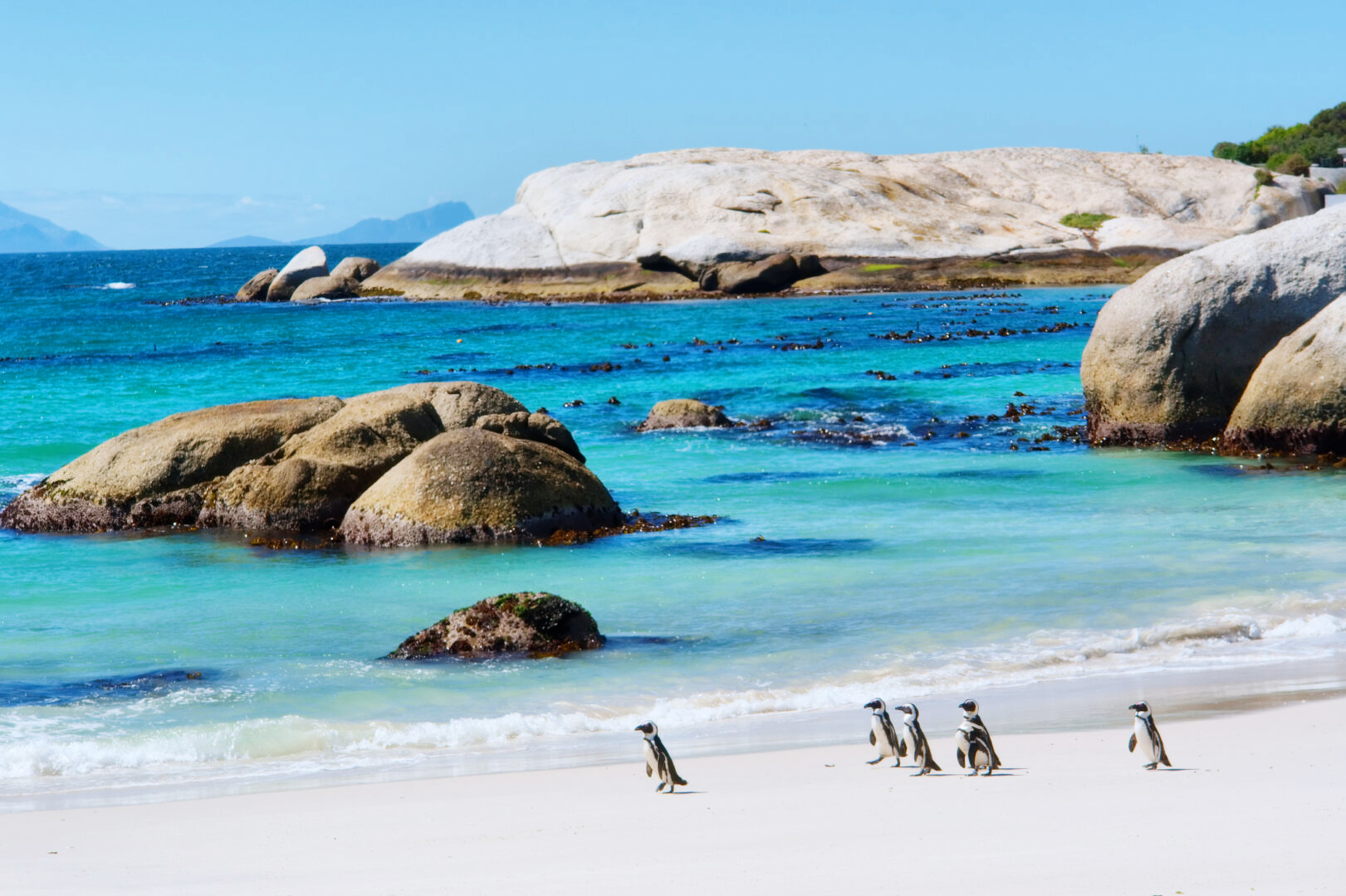 Boulders Beach, South Africa
