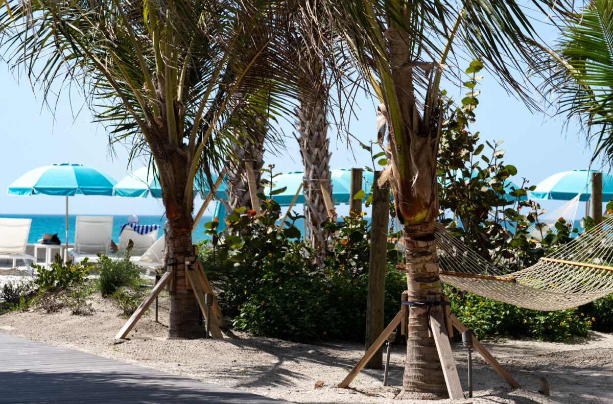 Hammock Palm Trees and Beach Chairs with Blue Umbrellas_Englewood Beach_Florida