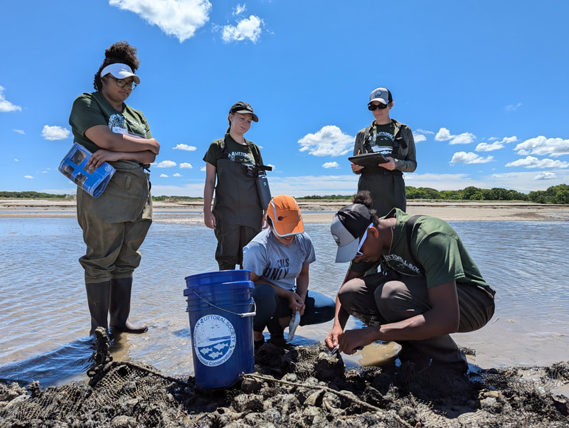 Littoral Society