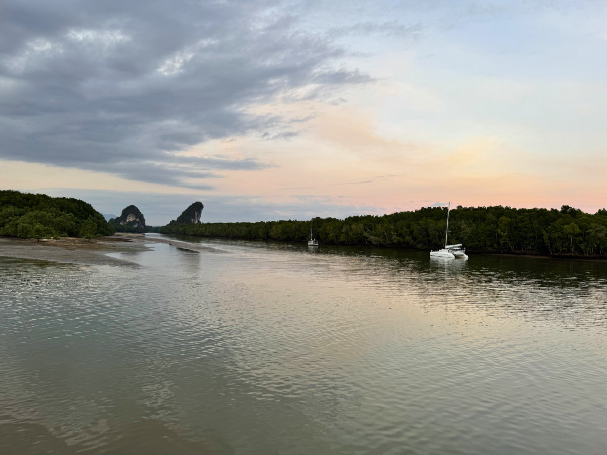 Mangroves in Krabi Town 2