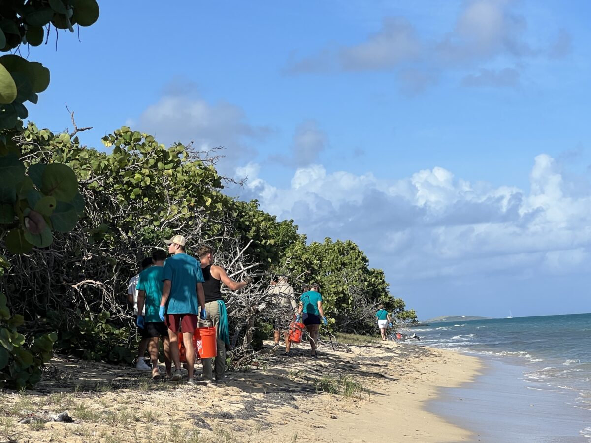People walking the beach with buckets_St. Croix USVI_Brandy Jo Hastings