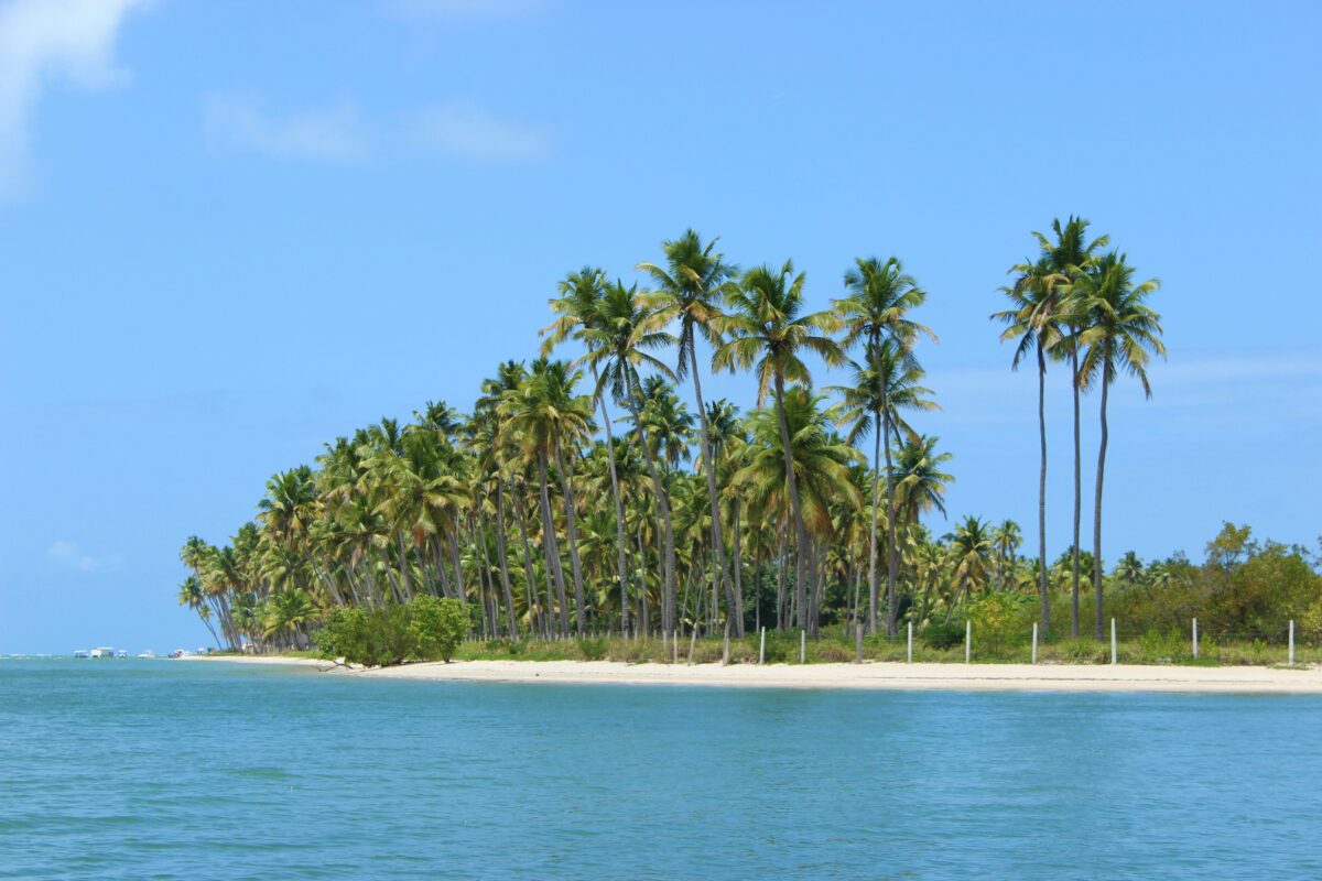 remote shoreline of Praia dos Carneiros, Brazil