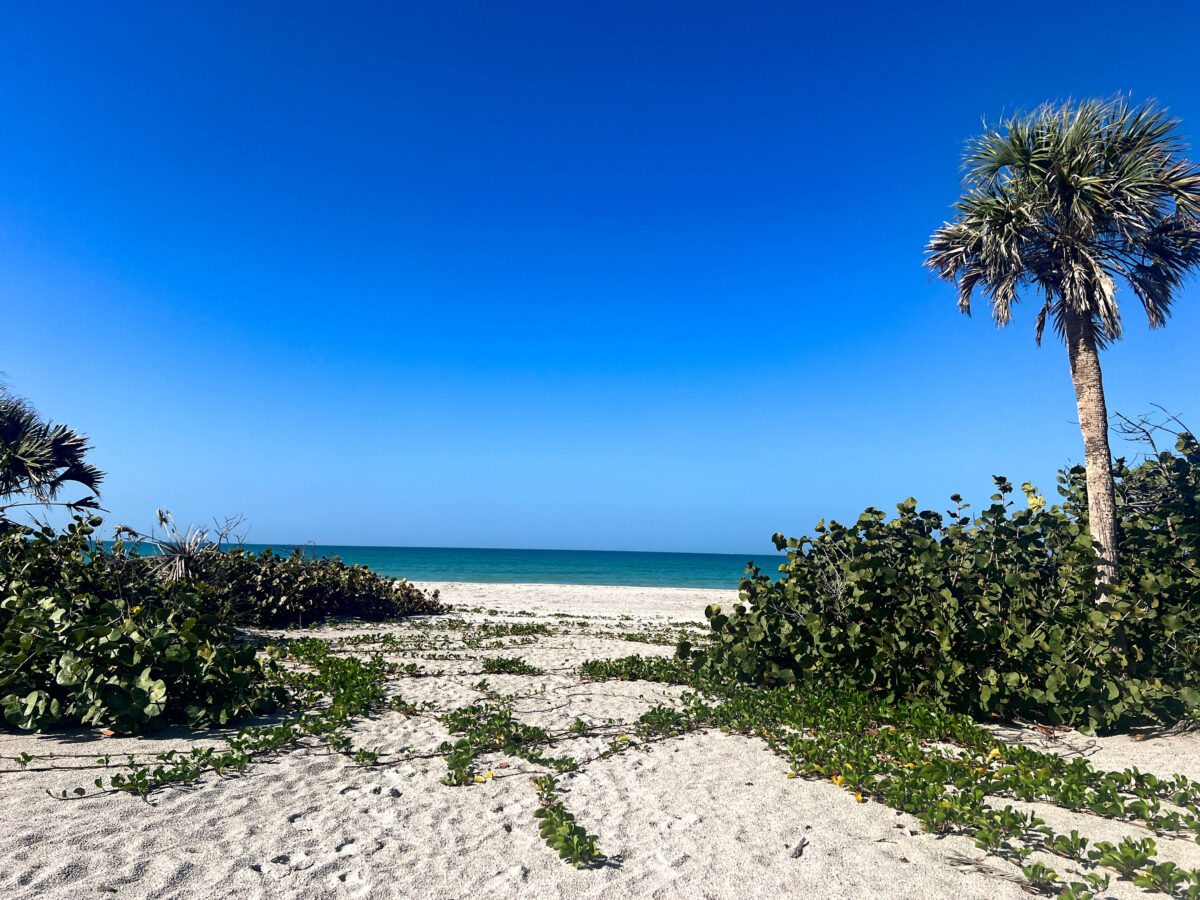 Sand and Palms Don Pedro State Park Island_Englewood Beach_Florida