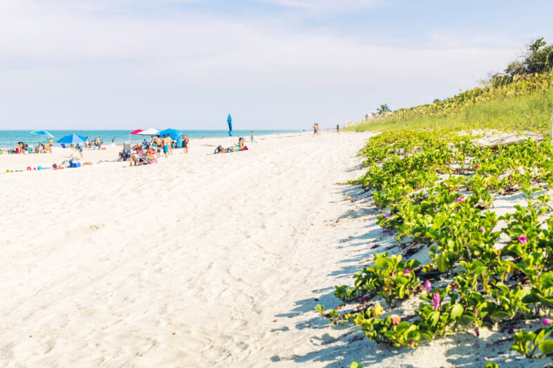 South Beach Park, Florida, USA