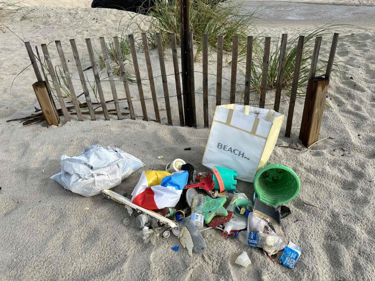 beach cleanup
