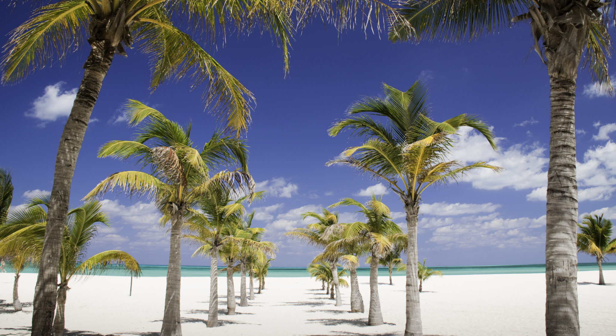 The World’s Most Beautiful Beach in 2026 Is a Tiny Mexican Island Most People Have Never Heard Of