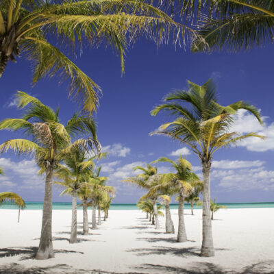 The World’s Most Beautiful Beach in 2026 Is a Tiny Mexican Island Most People Have Never Heard Of