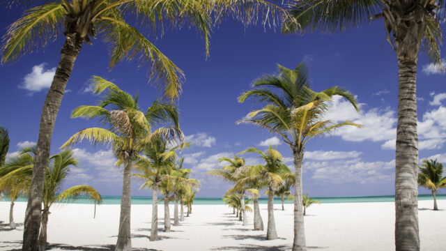 The World’s Most Beautiful Beach in 2026 Is a Tiny Mexican Island Most People Have Never Heard Of