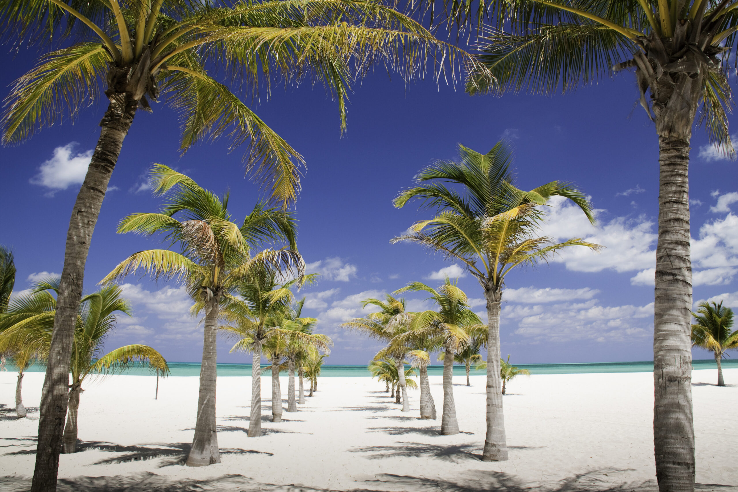 The World’s Most Beautiful Beach in 2026 Is a Tiny Mexican Island Most People Have Never Heard Of