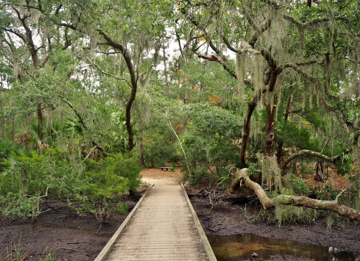 Edisto Beach State Park