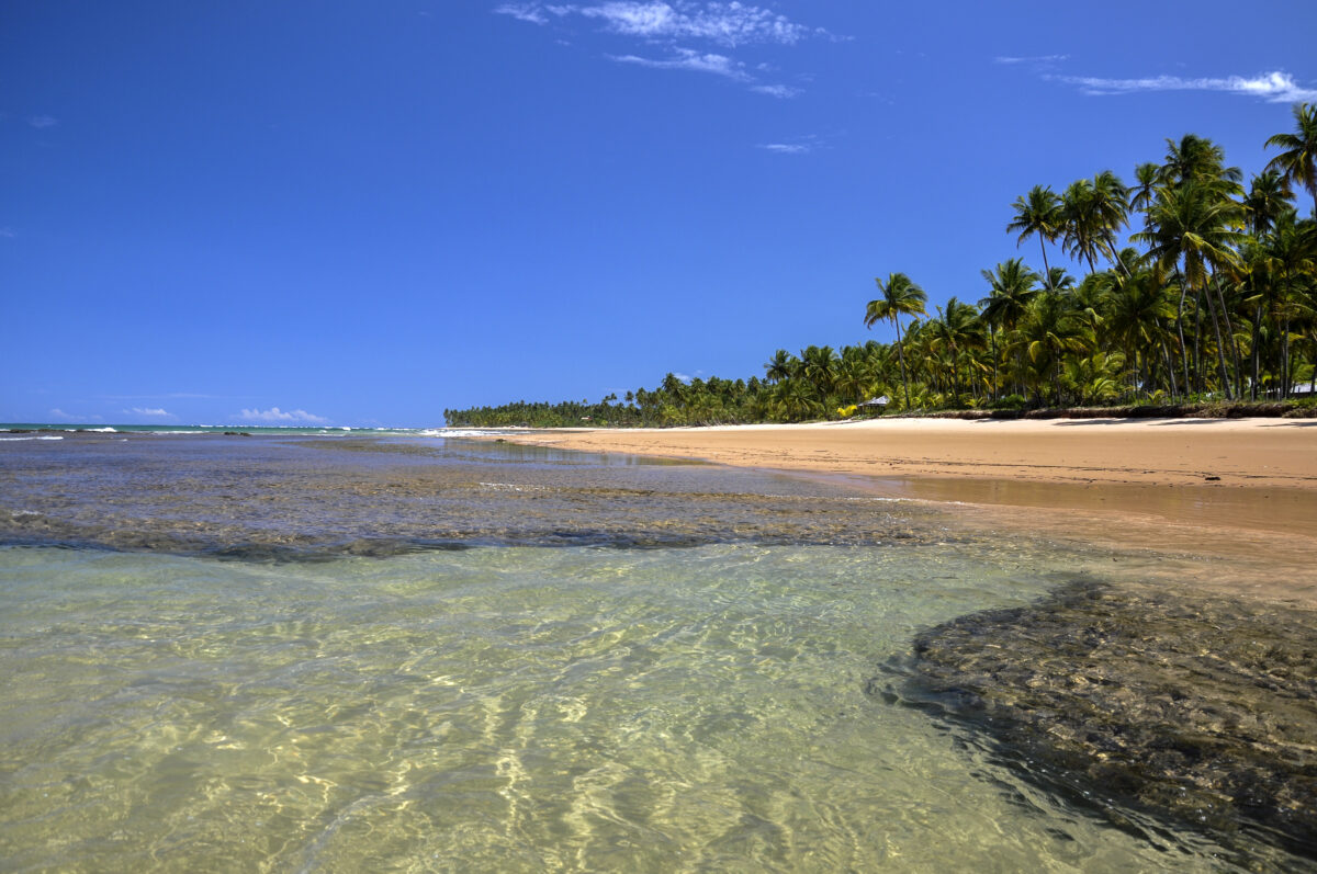 Beach of Taipu de Fora, Bahia (Brazil). Beach at low tide with palms on background, Taipu de Fora - Bahia (Brazil)