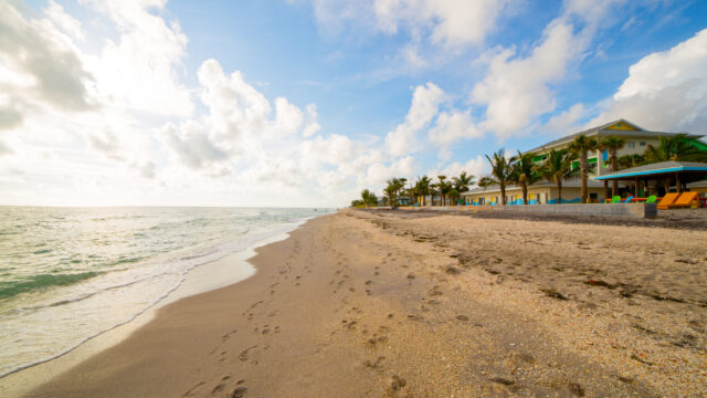This Under-the-Radar Florida Beach Has Shark Teeth, Dolphins, and Zero Crowds 