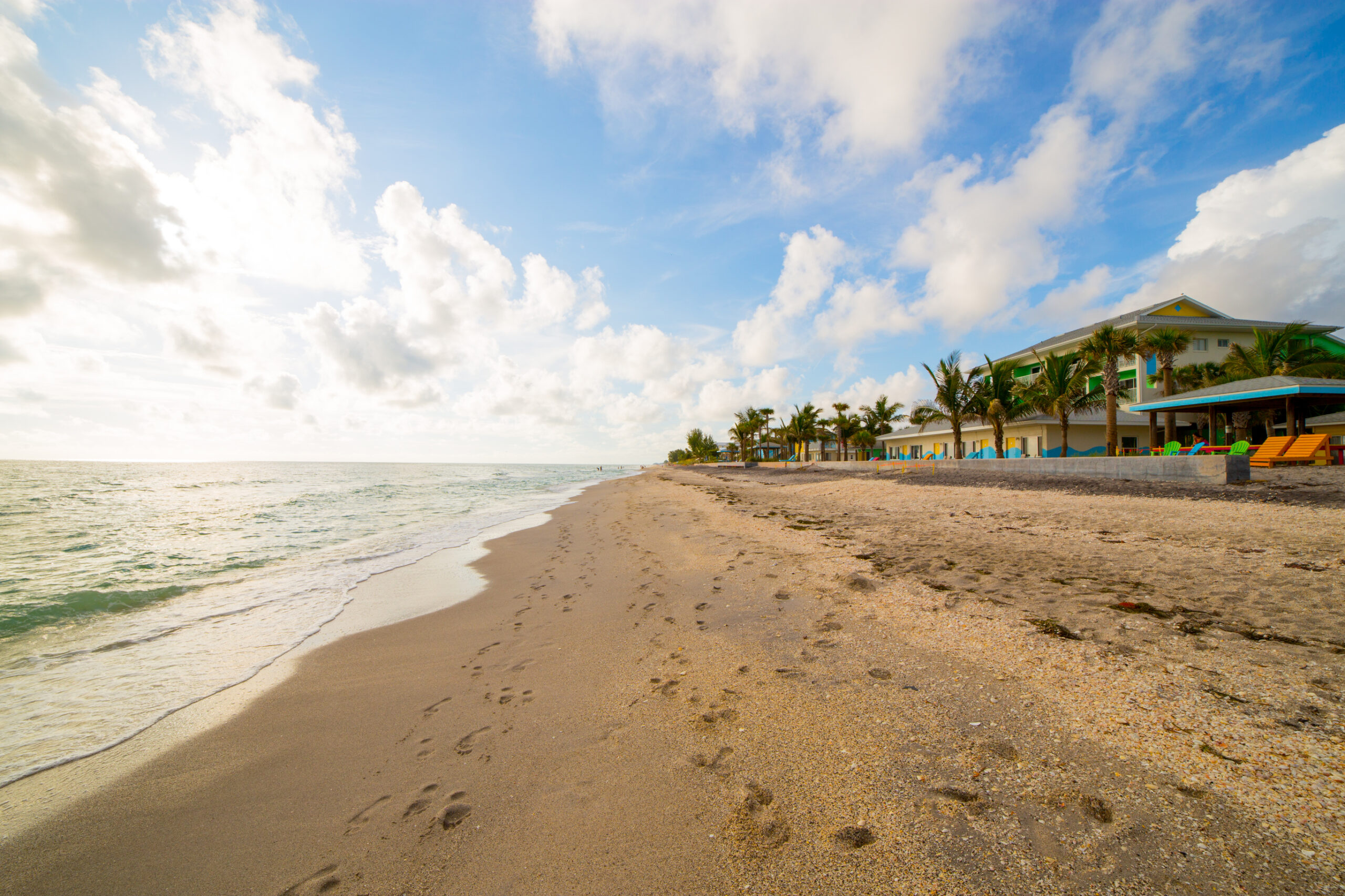 This Under-the-Radar Florida Beach Has Shark Teeth, Dolphins, and Zero Crowds 