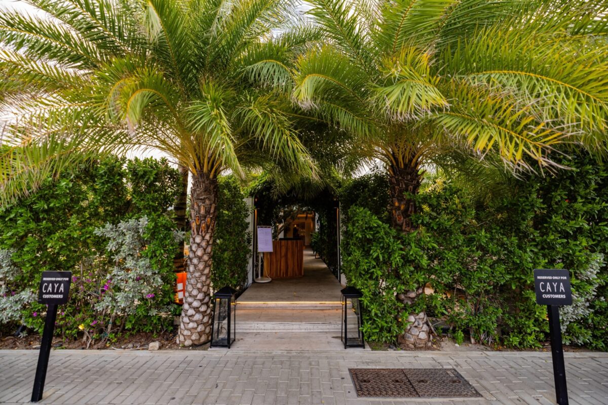 foliage on entrance of Caya