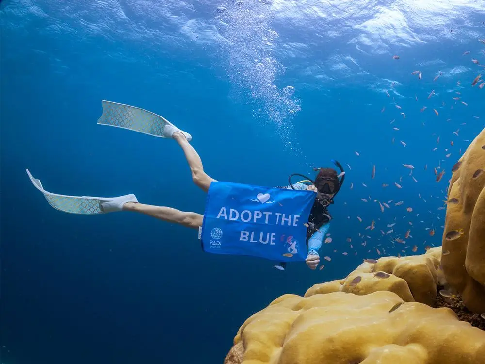 padi
