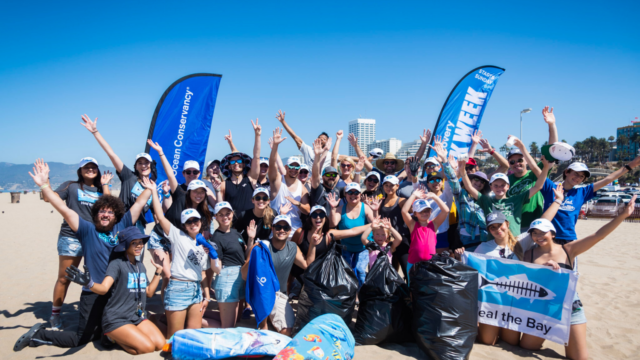 Meet the Organizations Fighting to Protect America’s Coastlines