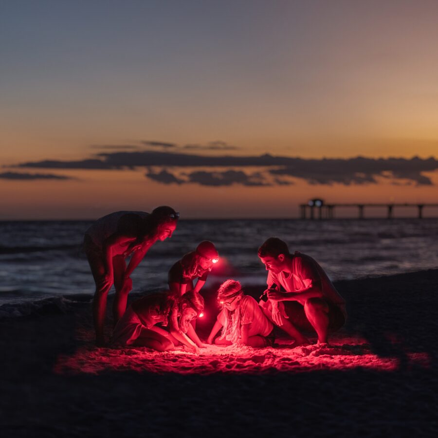 people on beach at Destin-Fort Walton Beach
