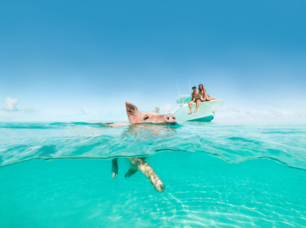 Big Major Cay, The Exumas _ Credit_ Bahamas Ministry of Tourism