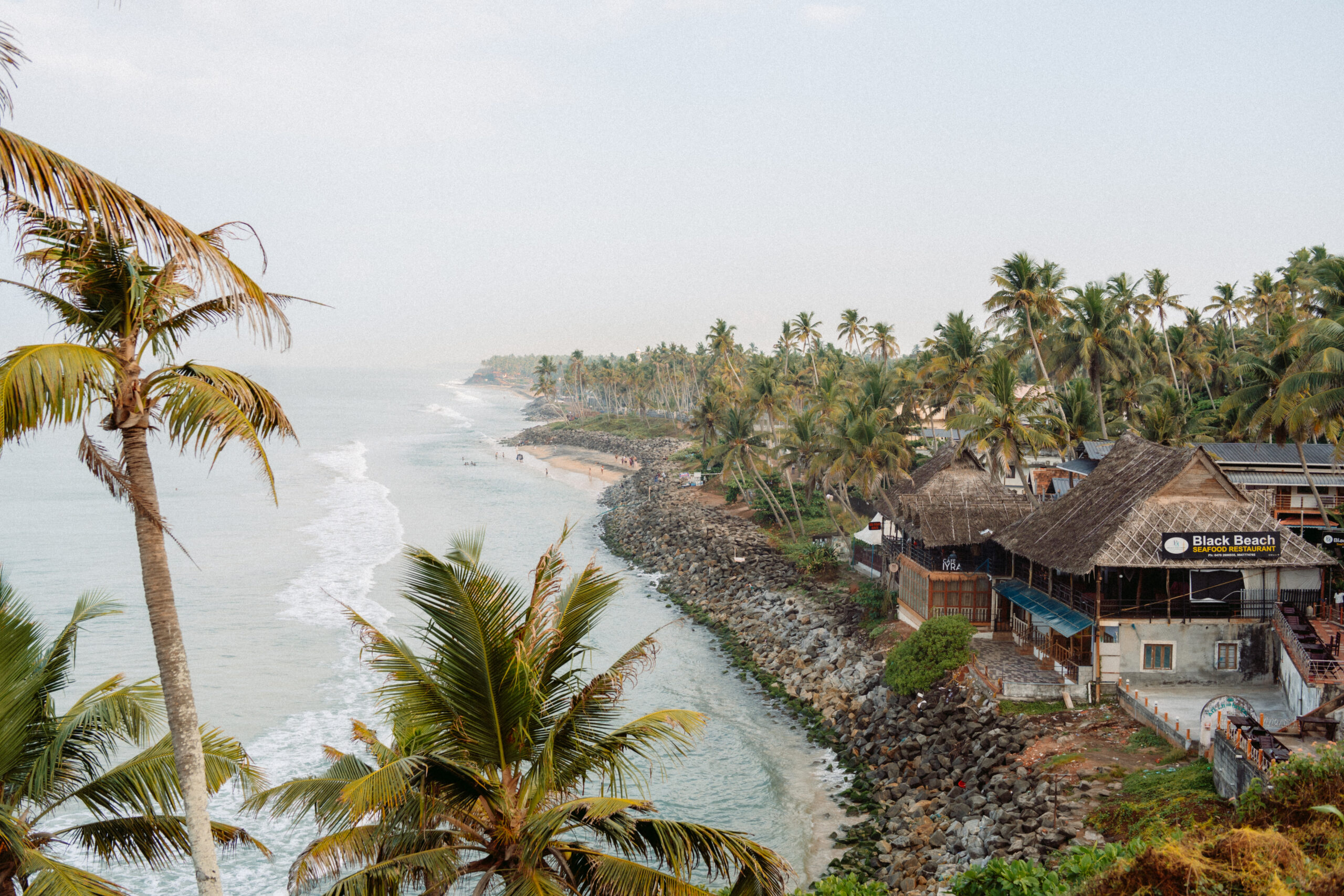 Varkala, India: A Complete Travel Guide to Kerala’s Best Beach Town