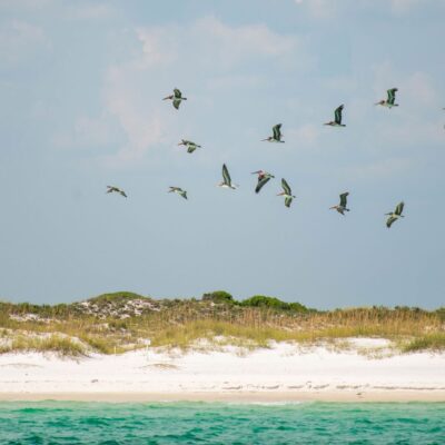 The Best Beaches to Watch Sea Turtle Releases This Summer