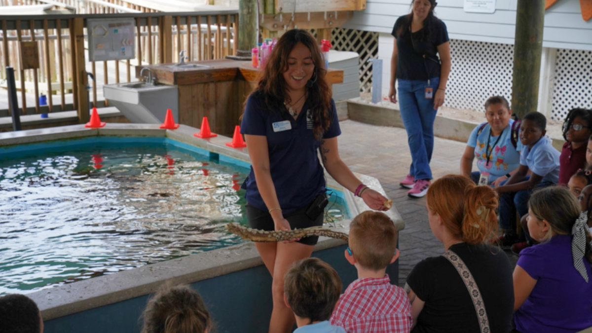 Florida Ocean Society