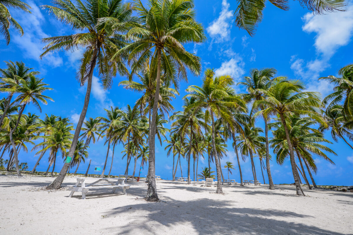 Half Moon CAYE