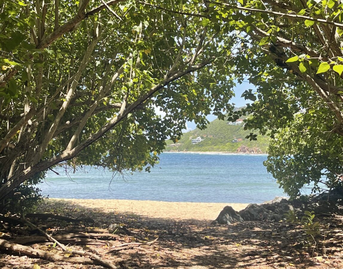 St. John on the Reef Bay Trail
