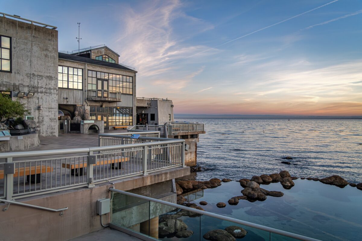 Monterey Bay Aquarium 
