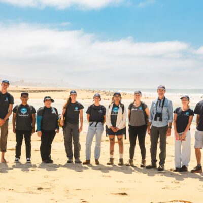 12 California Organizations Fighting to Protect Beaches and Marine Life
