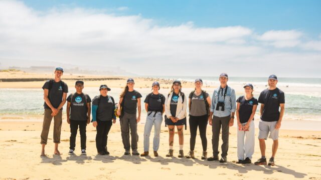 12 California Organizations Fighting to Protect Beaches and Marine Life