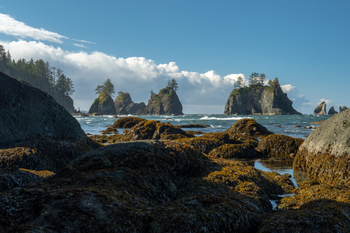 Shi Shi Beach, Washington