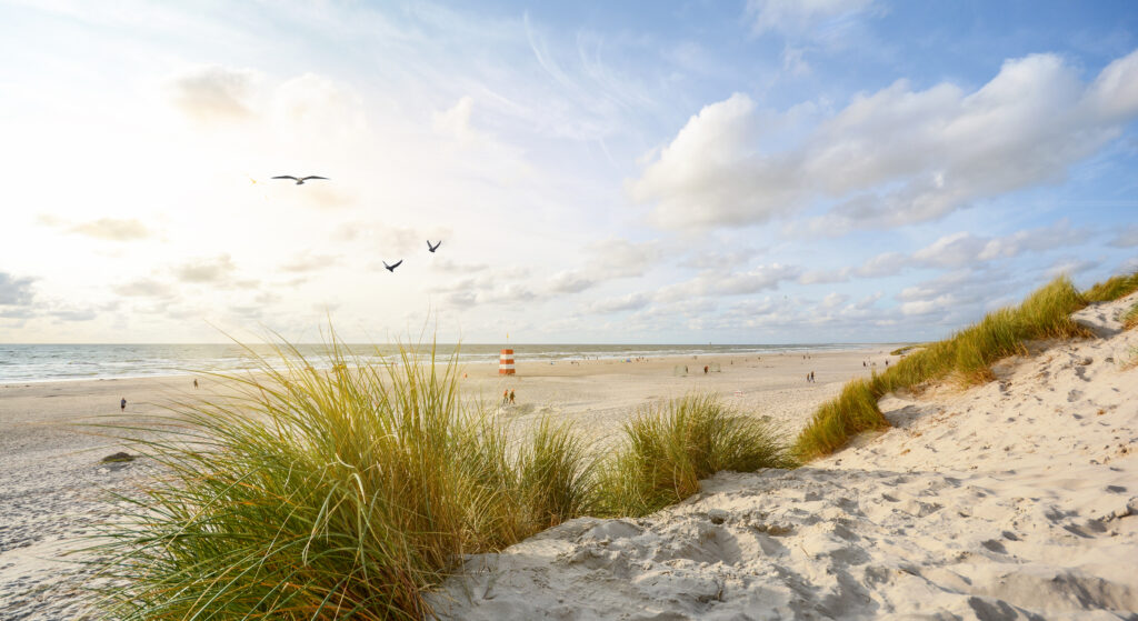Copenhagen Is the World’s Happiest City — and It Has Stunning Beaches Too