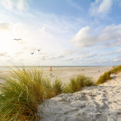 Copenhagen Is the World’s Happiest City — and It Has Stunning Beaches Too
