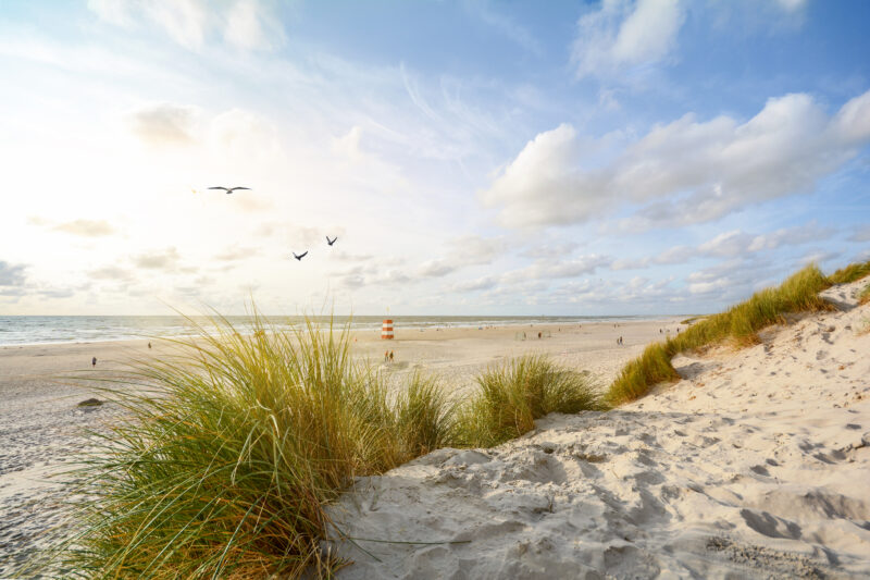 View to beautiful landscape with beach and sand dunes near Henne Strand, North sea coast landscape Jutland Denmark Europe