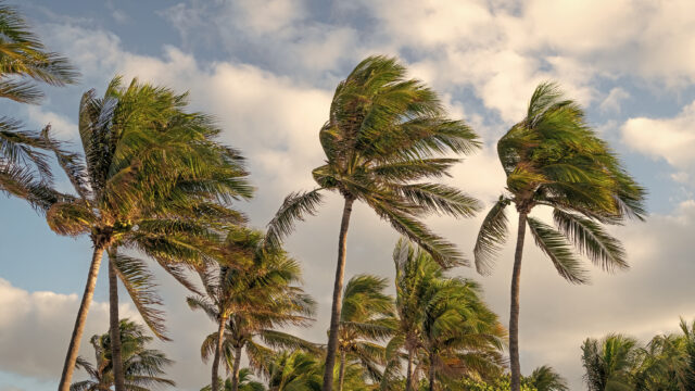 What Florida Hurricane Season Actually Means for Your Beach Vacation