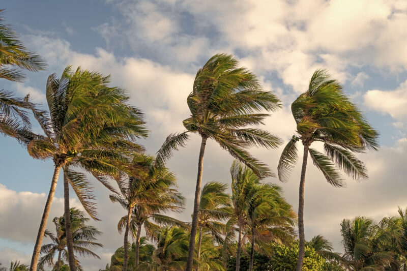 Florida Hurricane Season
