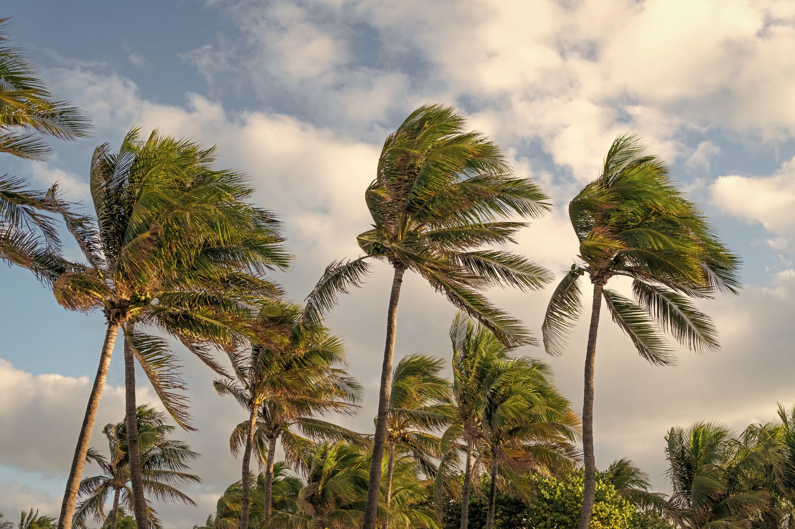 What Florida Hurricane Season Actually Means for Your Beach Vacation