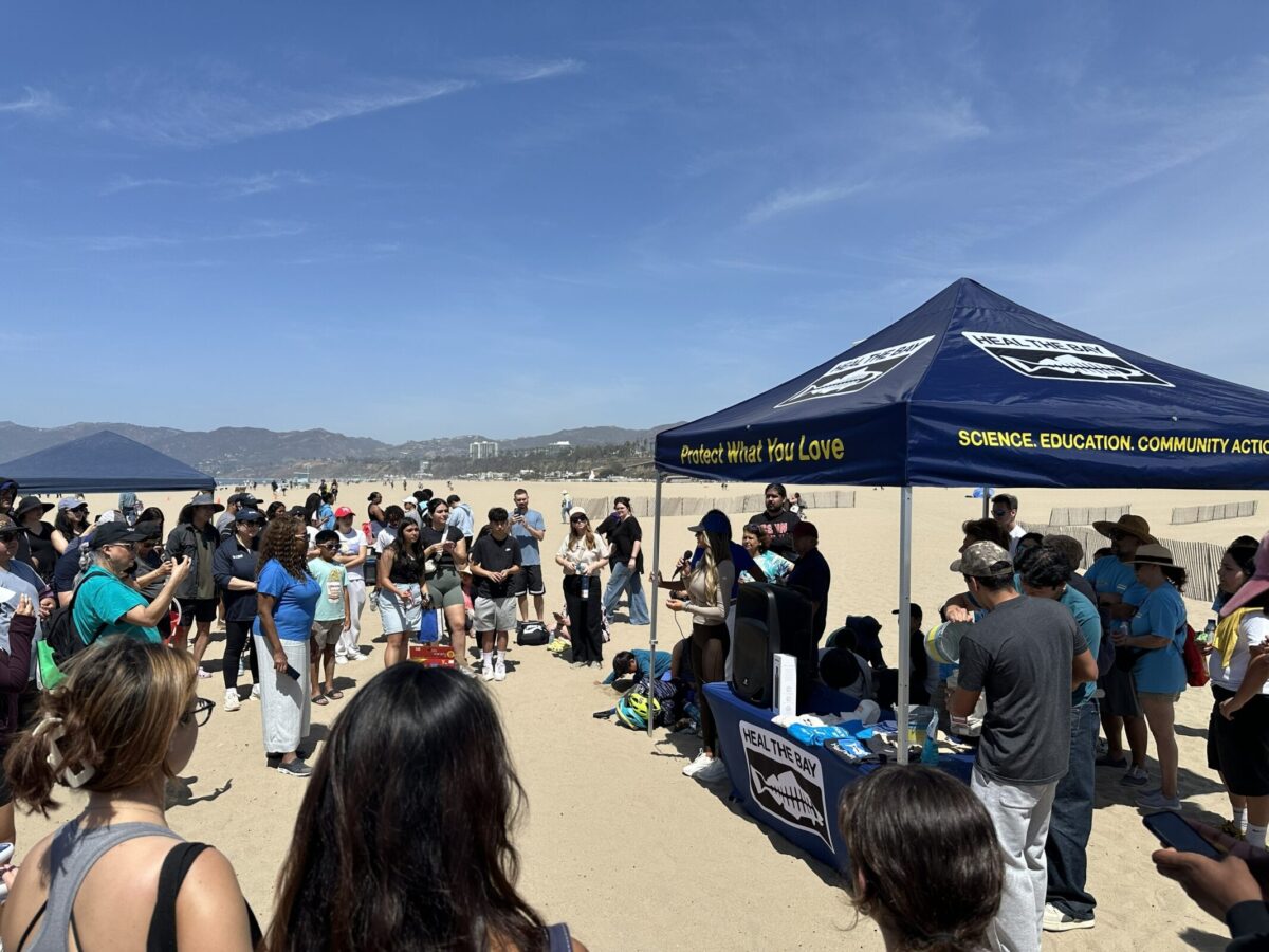 Heal the Bay beach cleanup