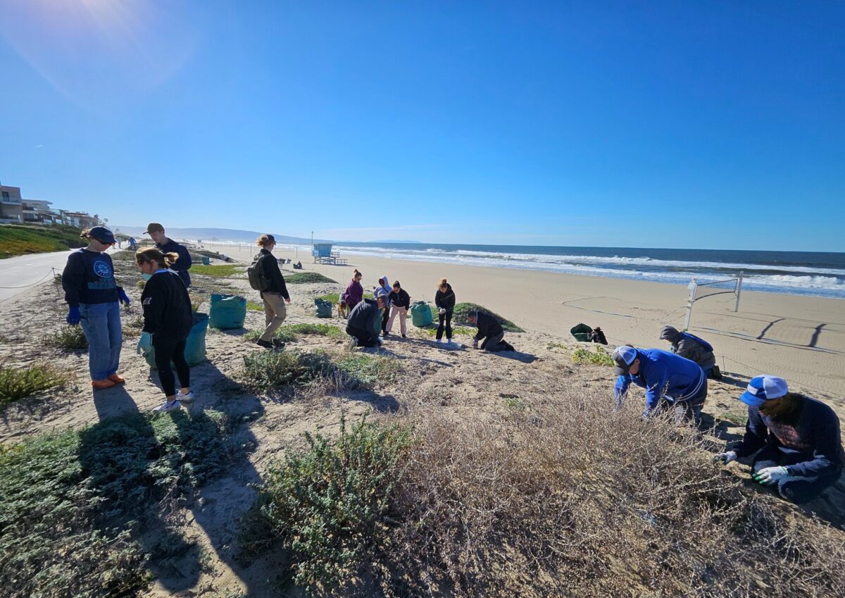beach cleanup with The Bay Foundation