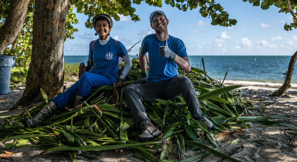 11 Florida Organizations Working to Protect the State’s Beaches and Marine Life