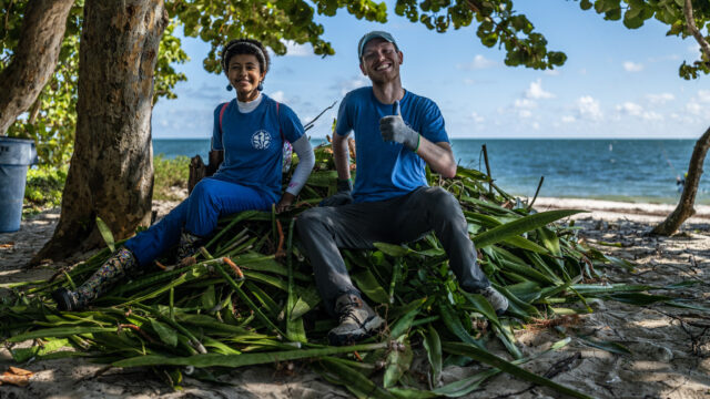 11 Florida Organizations Working to Protect the State’s Beaches and Marine Life