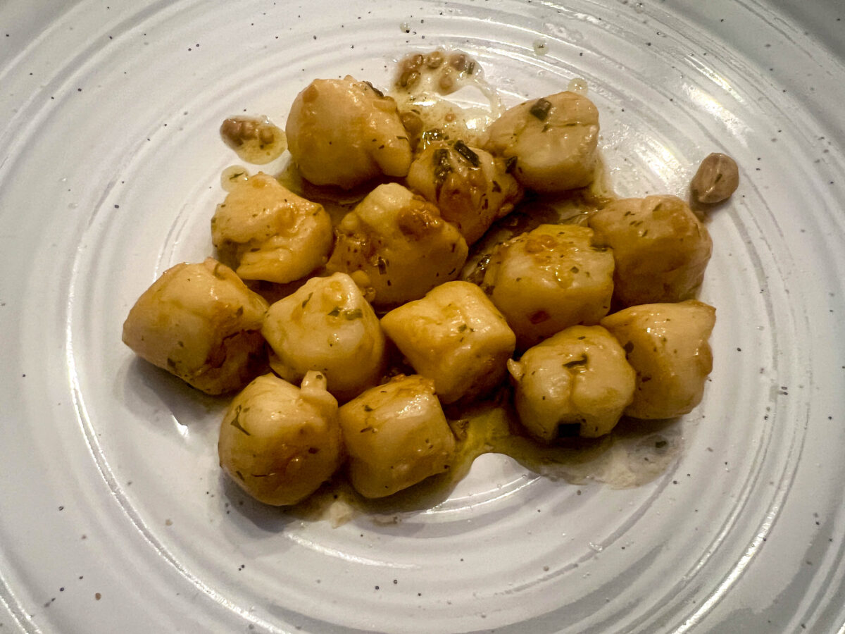 Cooked scallops on white plate_Homosassa_Florida_Brandy Jo Hastings