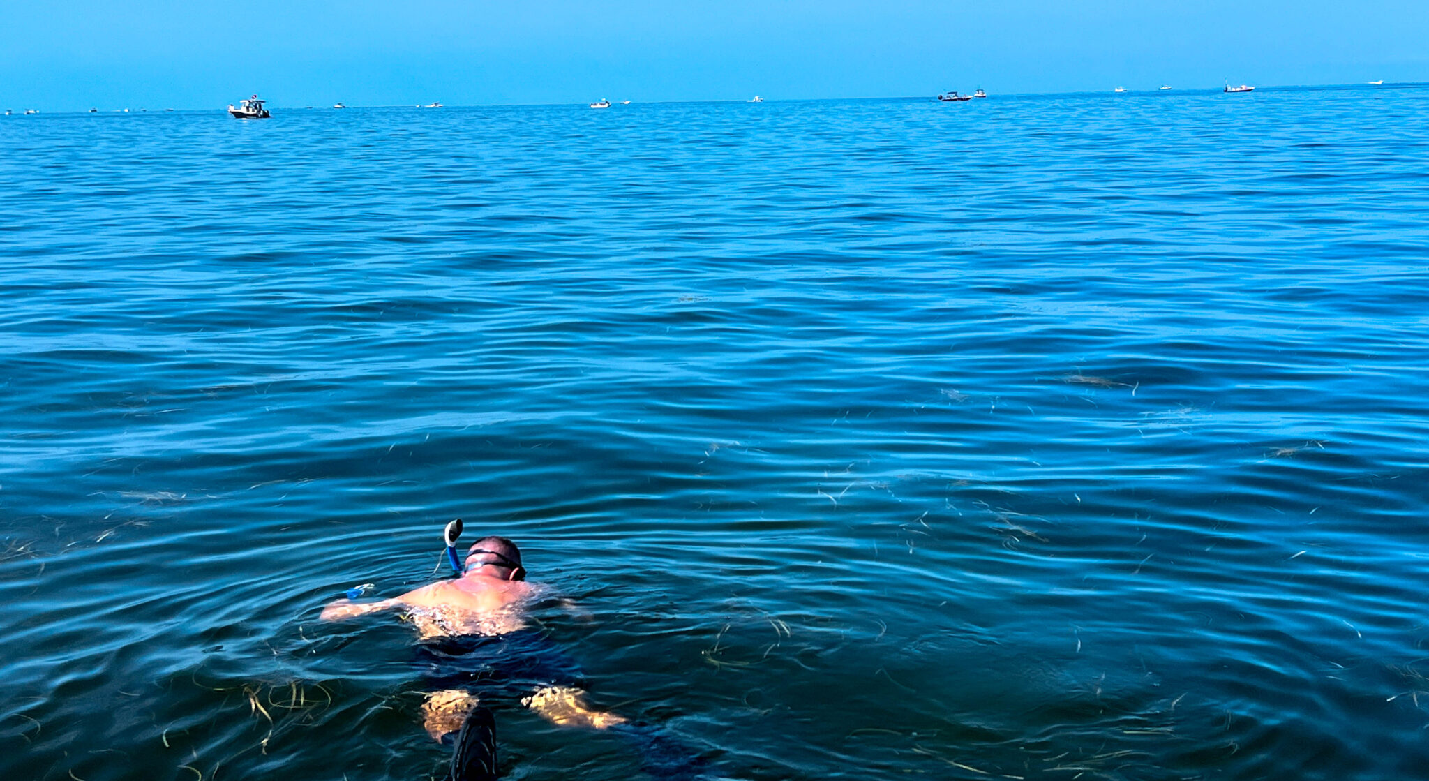 Florida’s Scallop Season: When to Go, What to Bring, and How to Cook Your Catch