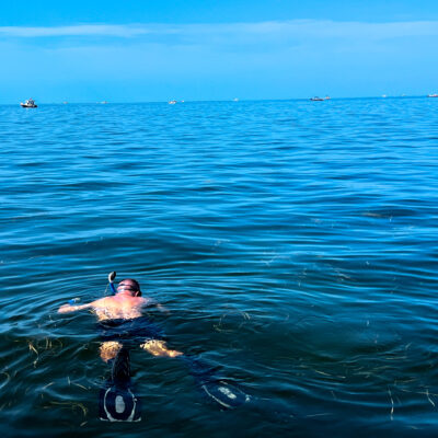 Florida’s Scallop Season: When to Go, What to Bring, and How to Cook Your Catch