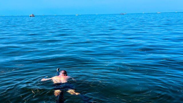 Florida’s Scallop Season: When to Go, What to Bring, and How to Cook Your Catch