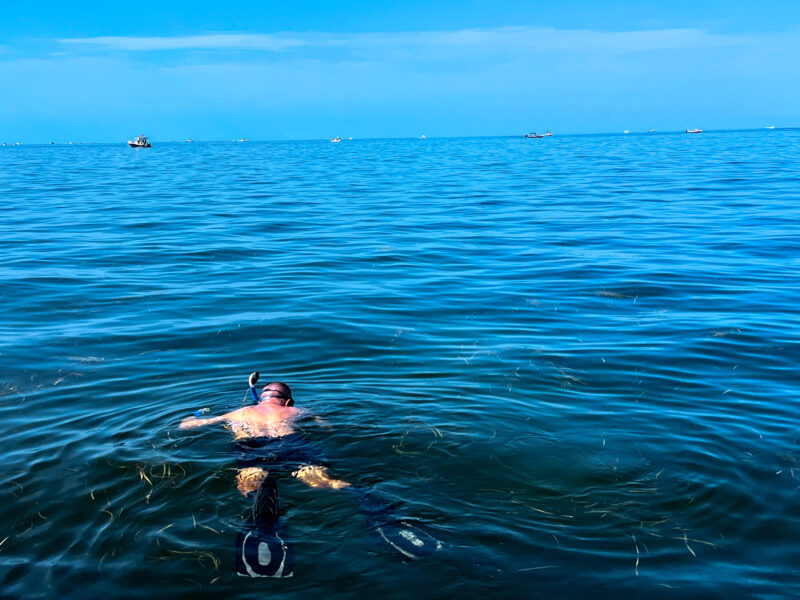 Man in water snorkeling while scalloping_Homosassa_Florida_Brandy Jo Hastings_