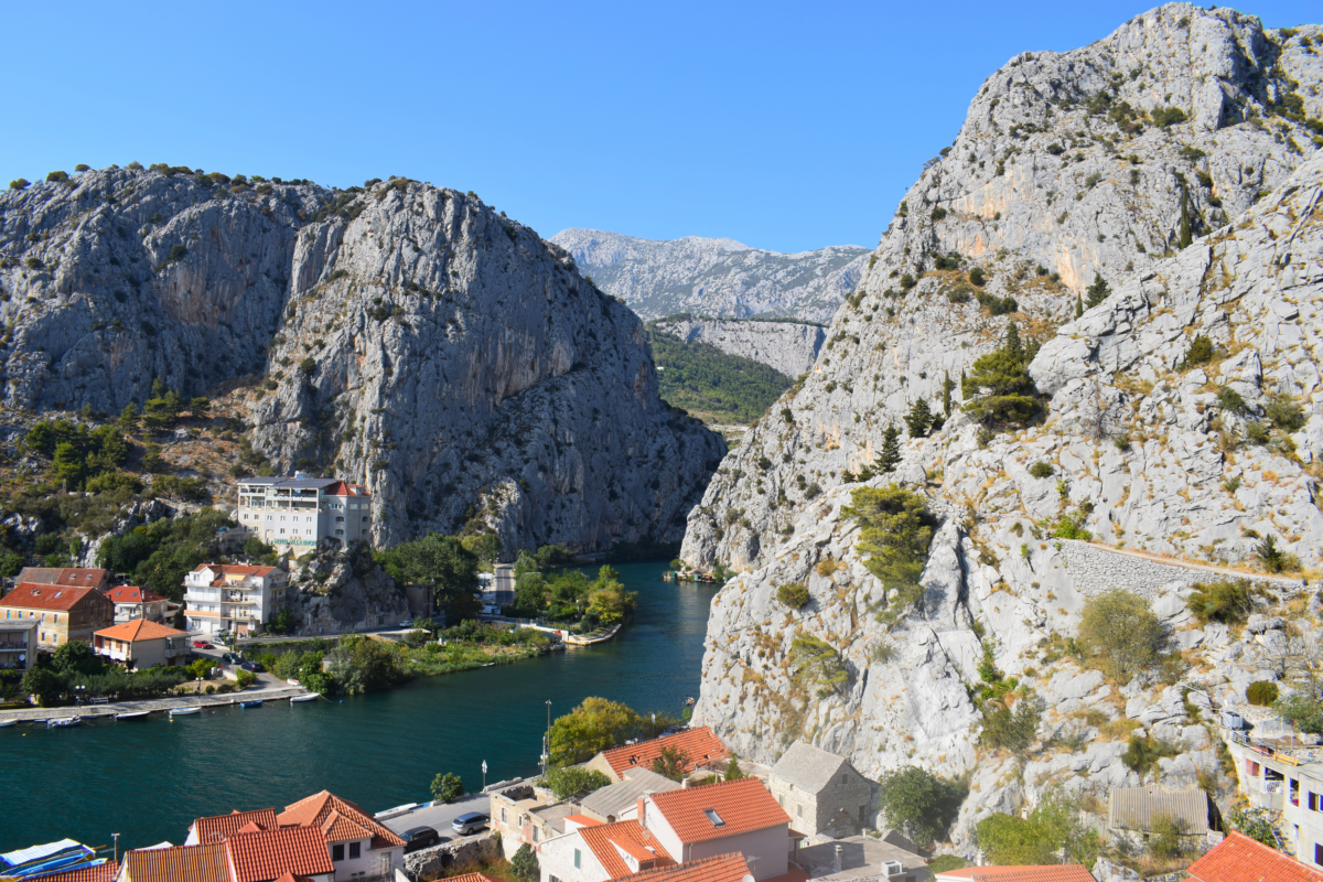 Omis