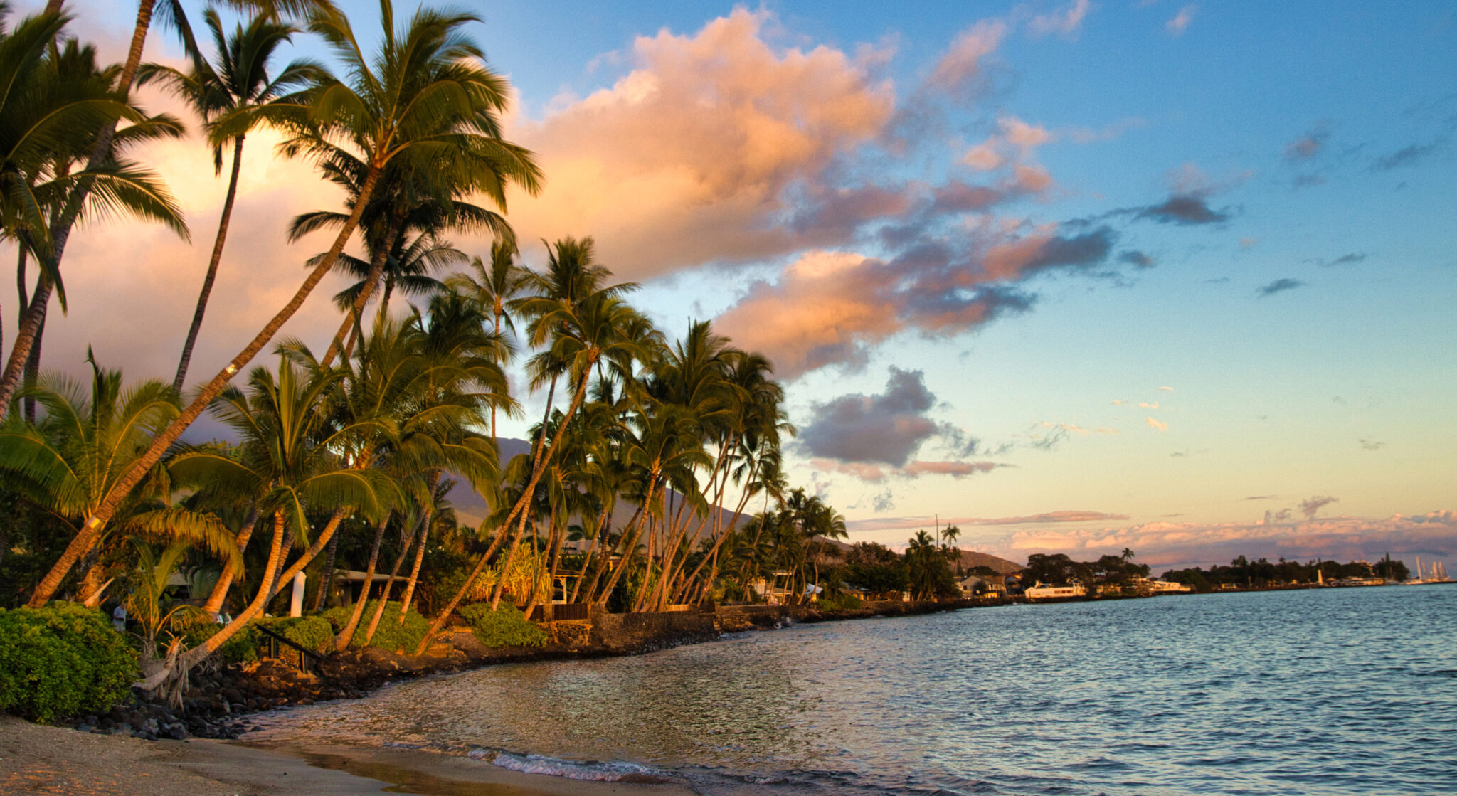 This Maui Beach Made Fodor’s List of Best Family Beaches in the US