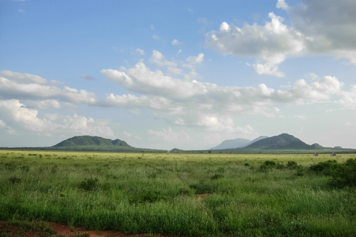A view of Tsavo national park